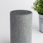 an amazon smart speaker next to some small plants