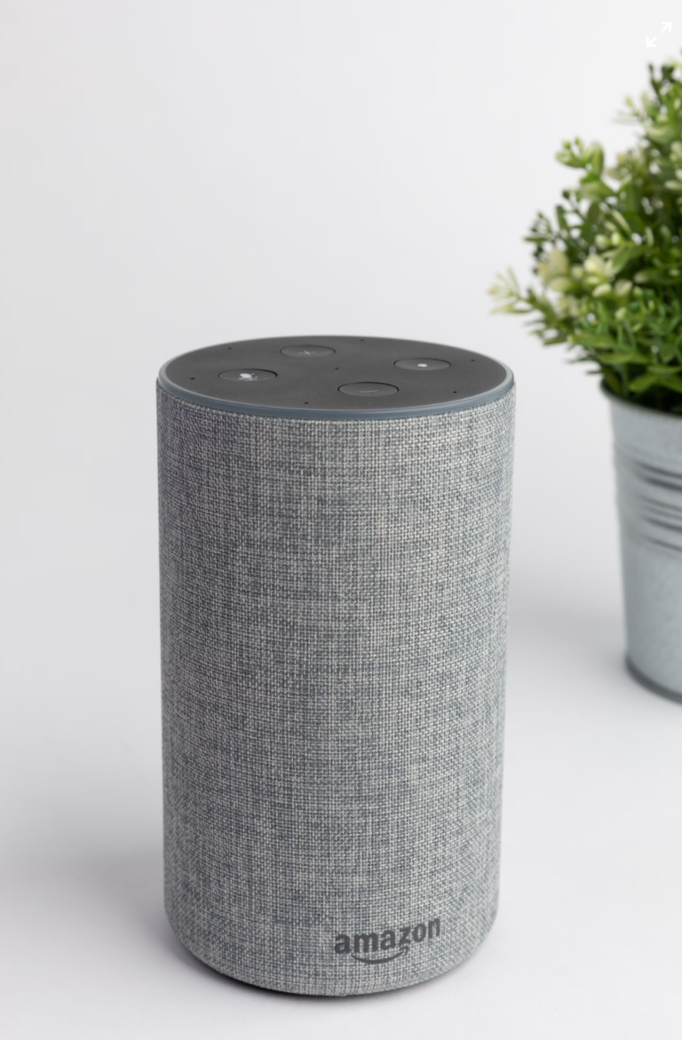 an amazon smart speaker next to some small plants